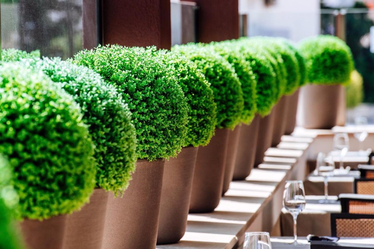 Hotel Terra Novalja Ngoại thất bức ảnh